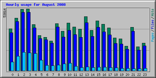 Hourly usage for August 2008